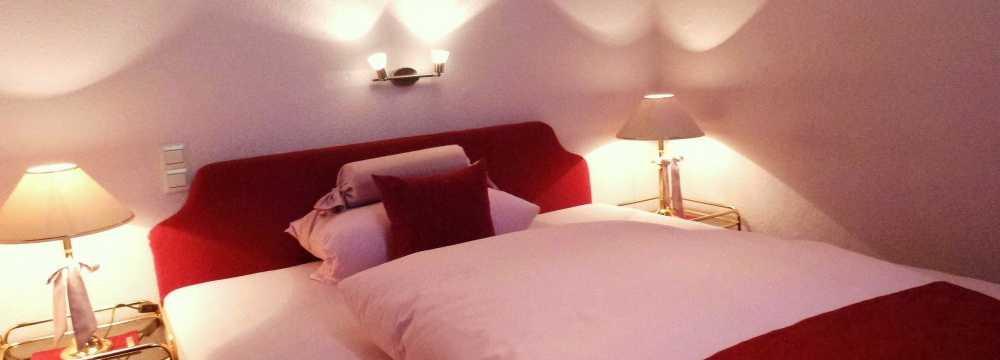 Der Schwan in Einbeck