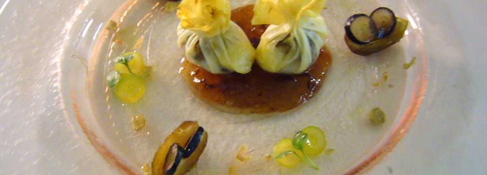 Der Schwan in Einbeck