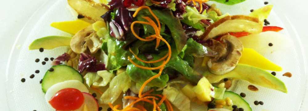 Der Schwan in Einbeck