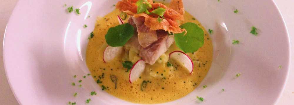 Der Schwan in Einbeck