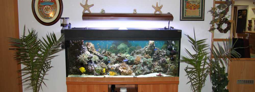 Gasthof Erbgericht in Hinterhermsdorf