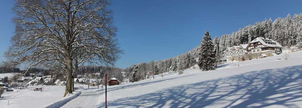 Sport- und Ferienhotel Sonnhalde in Lenzkirch-Saig