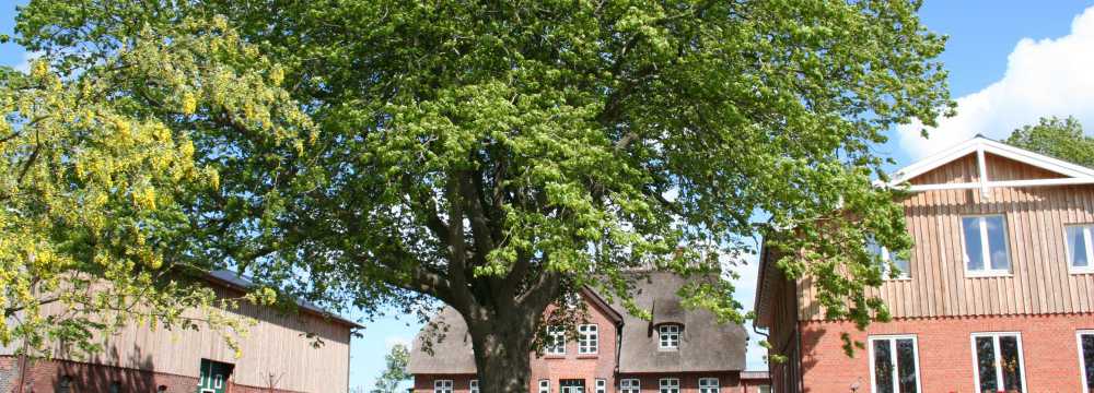 Janbeck*s FAIRcaf� in Gelting in Gelting ot Lehbek