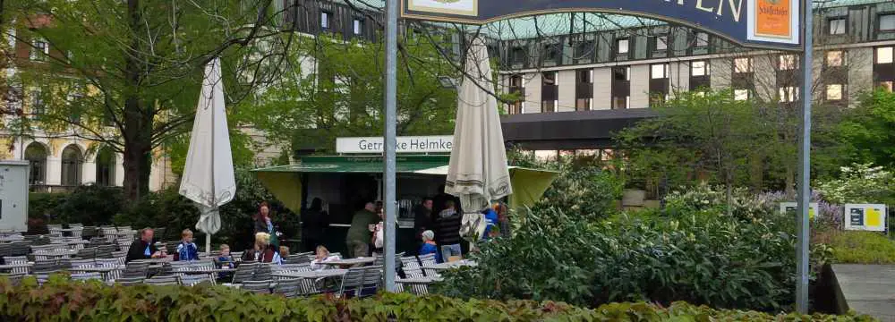 Restaurants in Dresden: Biergarten Elbsegler