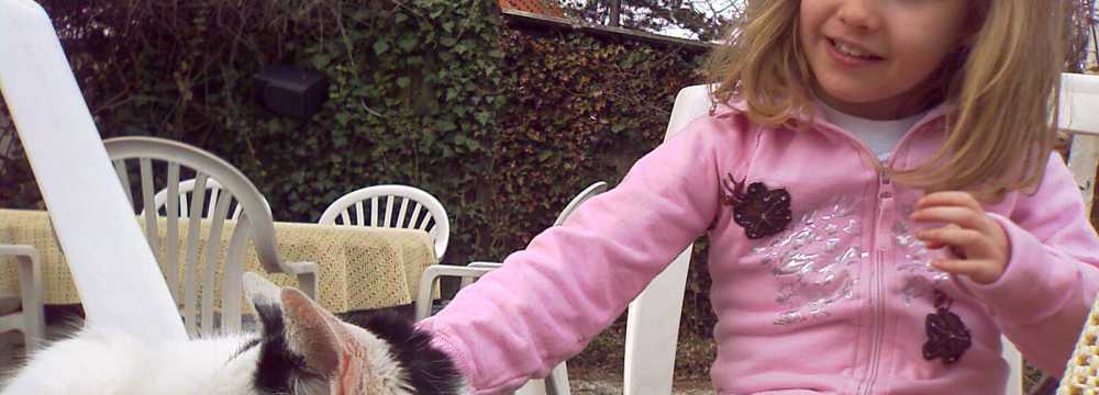 Hotel & Restaurant Alte Molkerei K�lleda in K�lleda