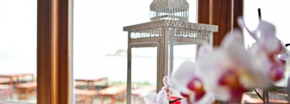 Hilligenley in Langene� 