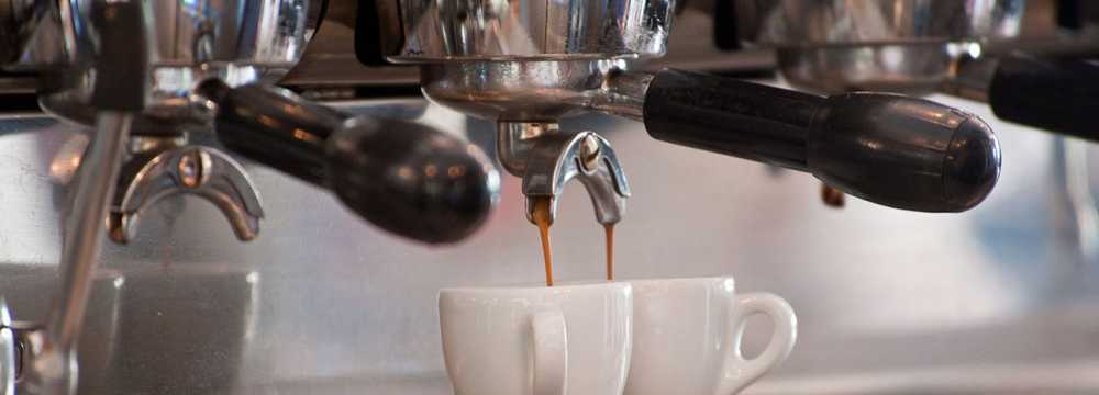 del fiore in M�nchen