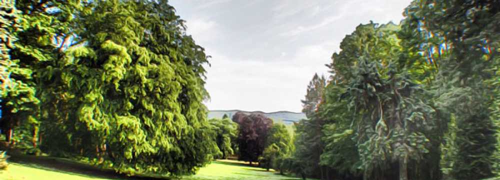 Schloss Hotel Wolfsbrunnen in Schwebda