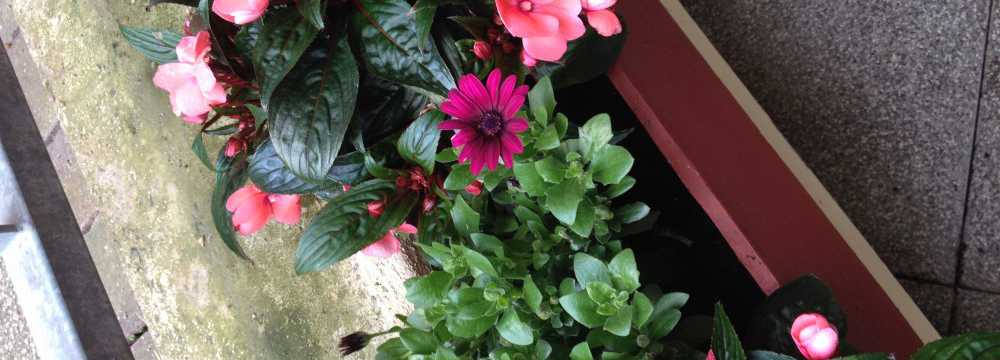 R�sch Restaurant in Stuttgart