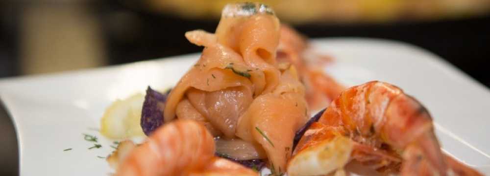 Filou in Sch�nberger Strand 