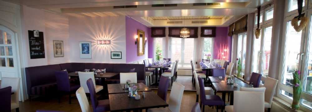 Filou in Sch�nberger Strand 