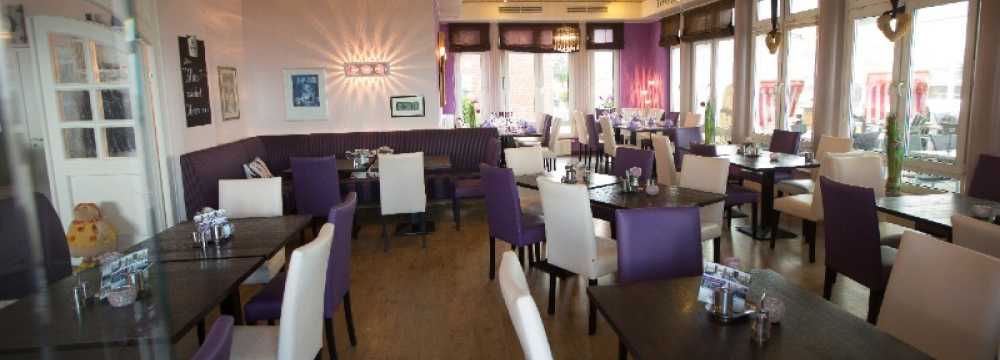 Filou in Sch�nberger Strand 