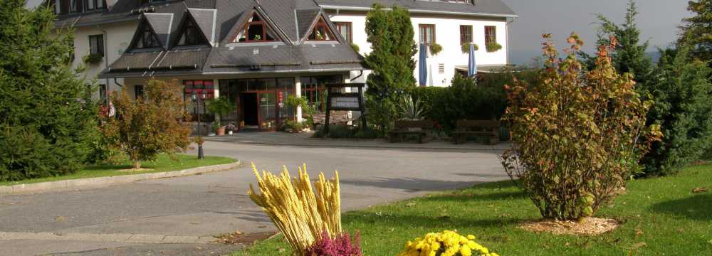 Hotel Waldesruh in Pockau-Lengefeld
