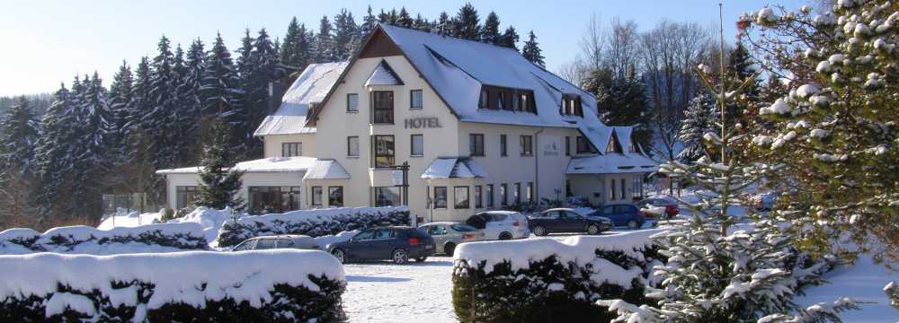 Hotel Waldesruh in Pockau-Lengefeld