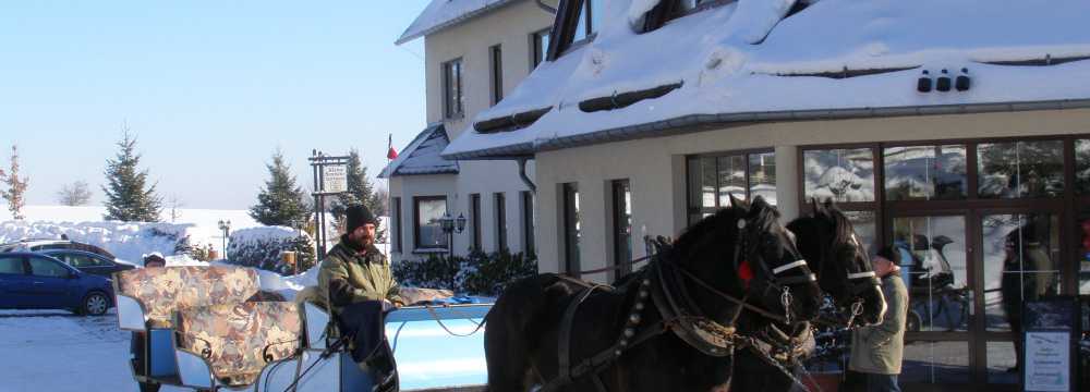 Hotel Waldesruh in Pockau-Lengefeld