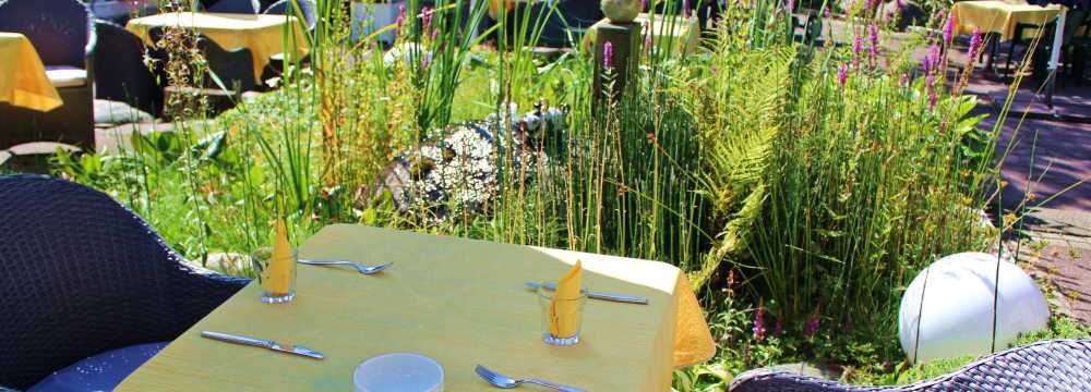 Waldwinkel in Todtmoos