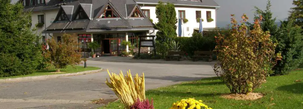 Hotel Waldesruh in Pockau-Lengefeld