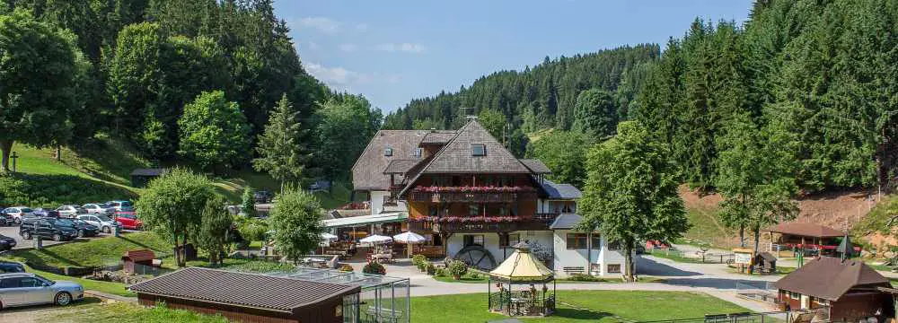 Restaurants in Grafenhausen: Schwarzwaldgasthof Tannenmhle