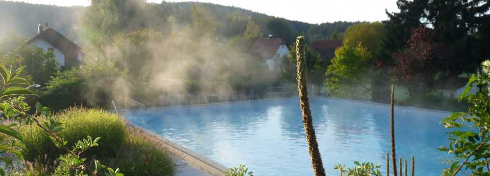 Ringhotel Siegfriedbrunnen  in Gras-Ellenbach