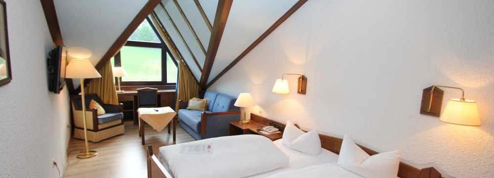 Ringhotel Siegfriedbrunnen  in Gras-Ellenbach