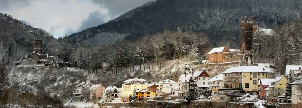 Restaurant Zum Schiff Neckarsteinach in Neckarsteinach