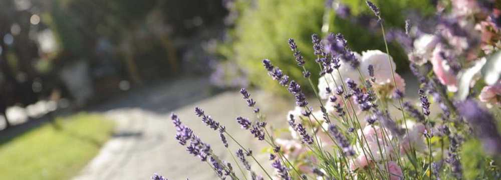 Landgasthof Seemer in Eslohe