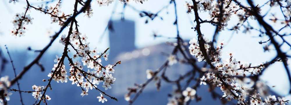 Burg Guttenberg Gastro GmbH in Ha�mersheim