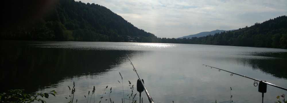 gasthaus wiesweber in bad heilbunn