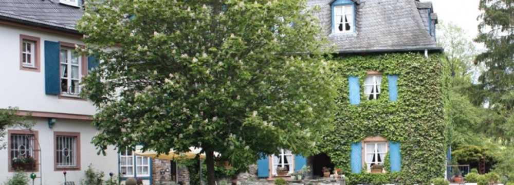 Historische Schlossm�hle in Horbruch