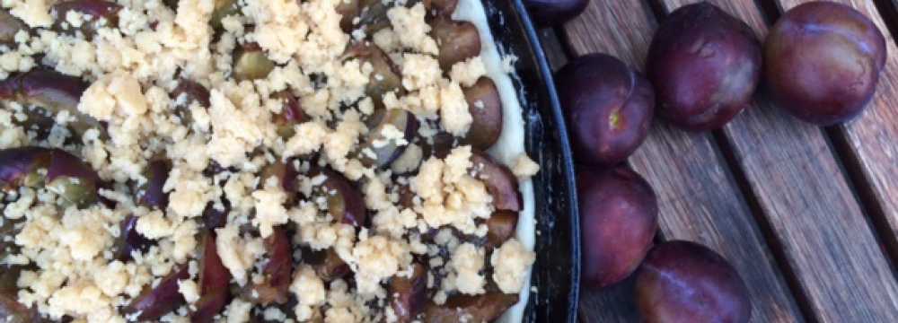 Brauner B�r und wei�e Taube in Volkach