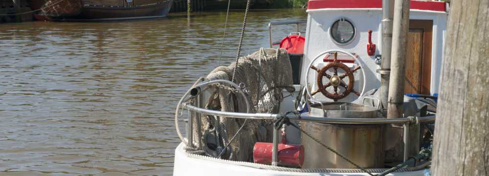 zum Goldenen Anker in T�nning 