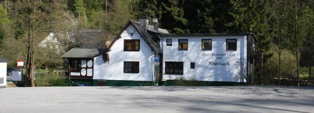 Restaurants in Willingen (Upland): Forsthaus