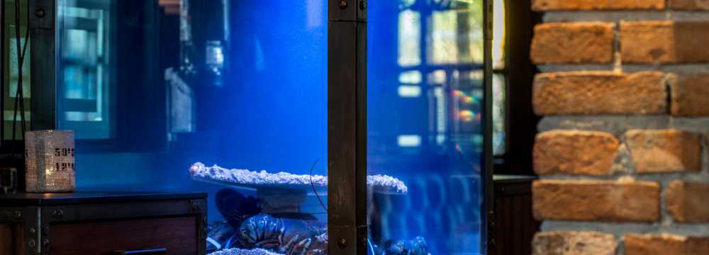 Pier 51 in Stuttgart