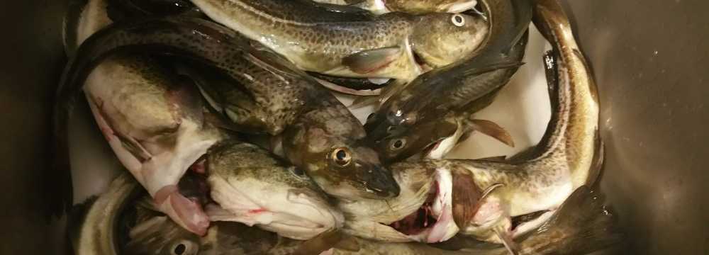 Sri-Thai Restaurant in Kiel