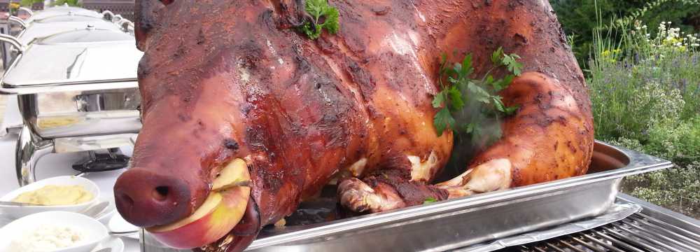 Restaurant & Hotel Sch�ne Aussicht in Dresden