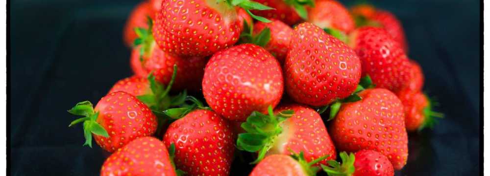 Ducky�s Restaurant | Event | Hotel in Bad Nauheim