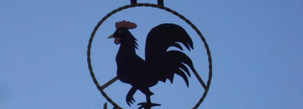 Gallo Nero in Schw�bisch Hall