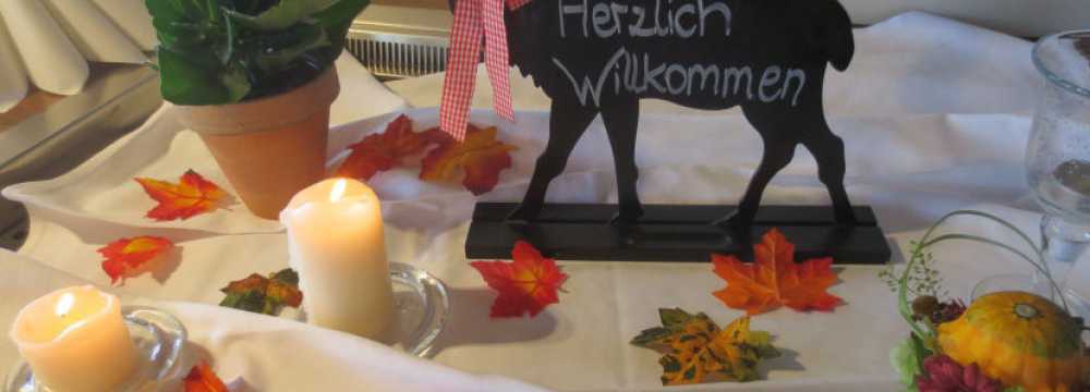 Seehotel Wassermann in Seebruck 
