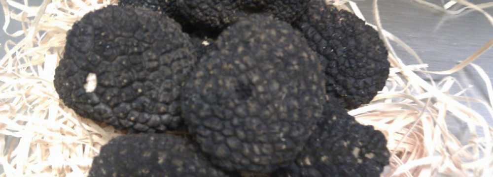 Hotel & Restaurant Schlei-Liesel in G�by