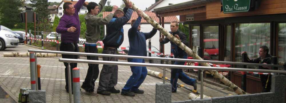 Hotel Cafe Drei Tannen in Calw