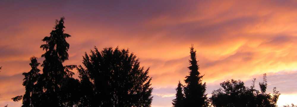 Hotel Cafe Drei Tannen in Calw