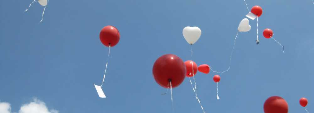 Hotel Cafe Drei Tannen in Calw