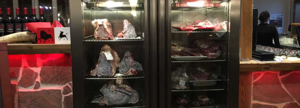 Toro Grosso GmbH in Magdeburg