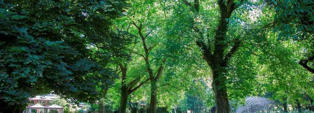 Niedm�hle in Rehlingen-Siersburg