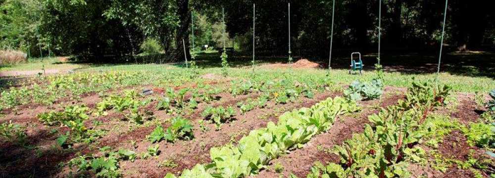 Niedm�hle in Rehlingen-Siersburg