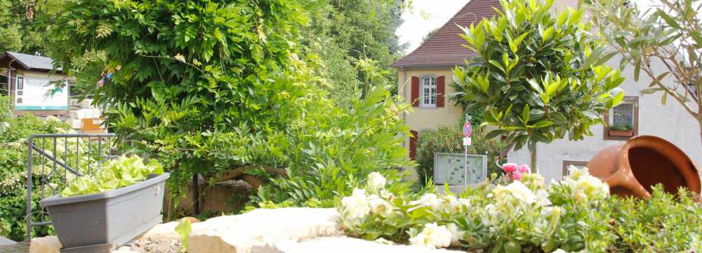 Landhotel Berg in Dannenfels