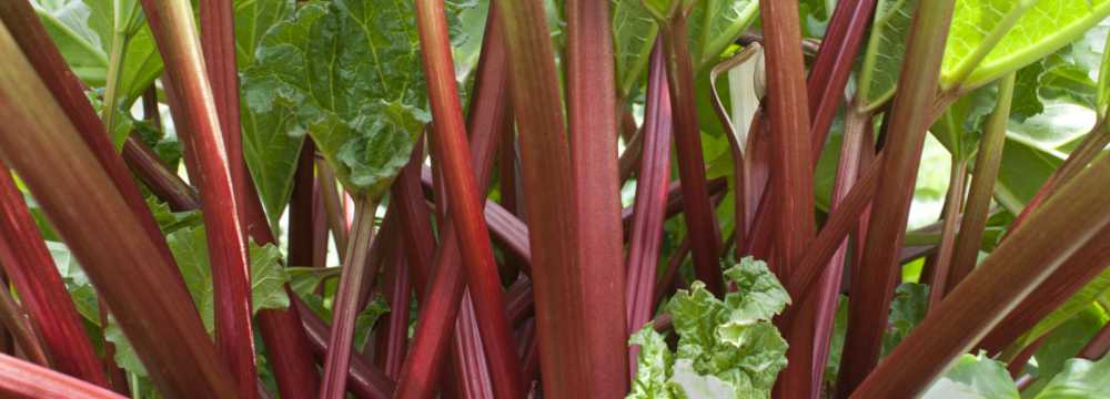 Almenstein ...bei UPS - das kleine Gasthaus in Heiligkreuzsteinach Vorderheubach
