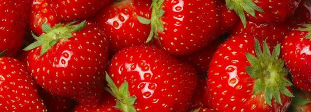 Almenstein ...bei UPS - das kleine Gasthaus in Heiligkreuzsteinach Vorderheubach