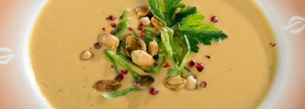 BrennNessel in Dresden