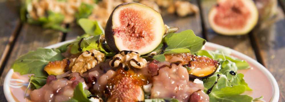 BrennNessel in Dresden